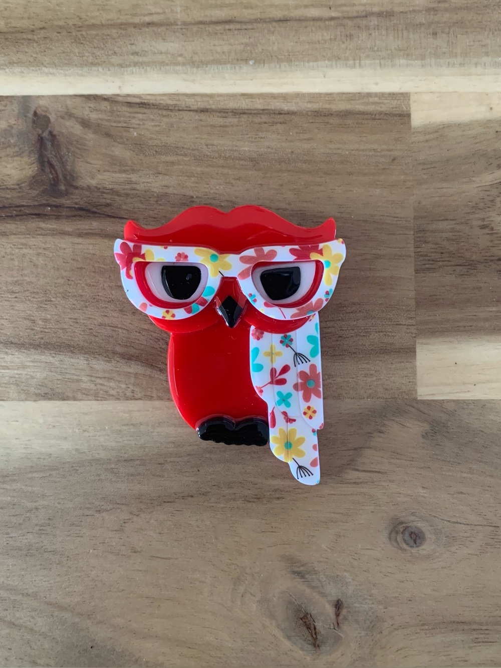 Erstwilder Waldo the Wacky Wise Owl Bird Brooch Pin NWOT